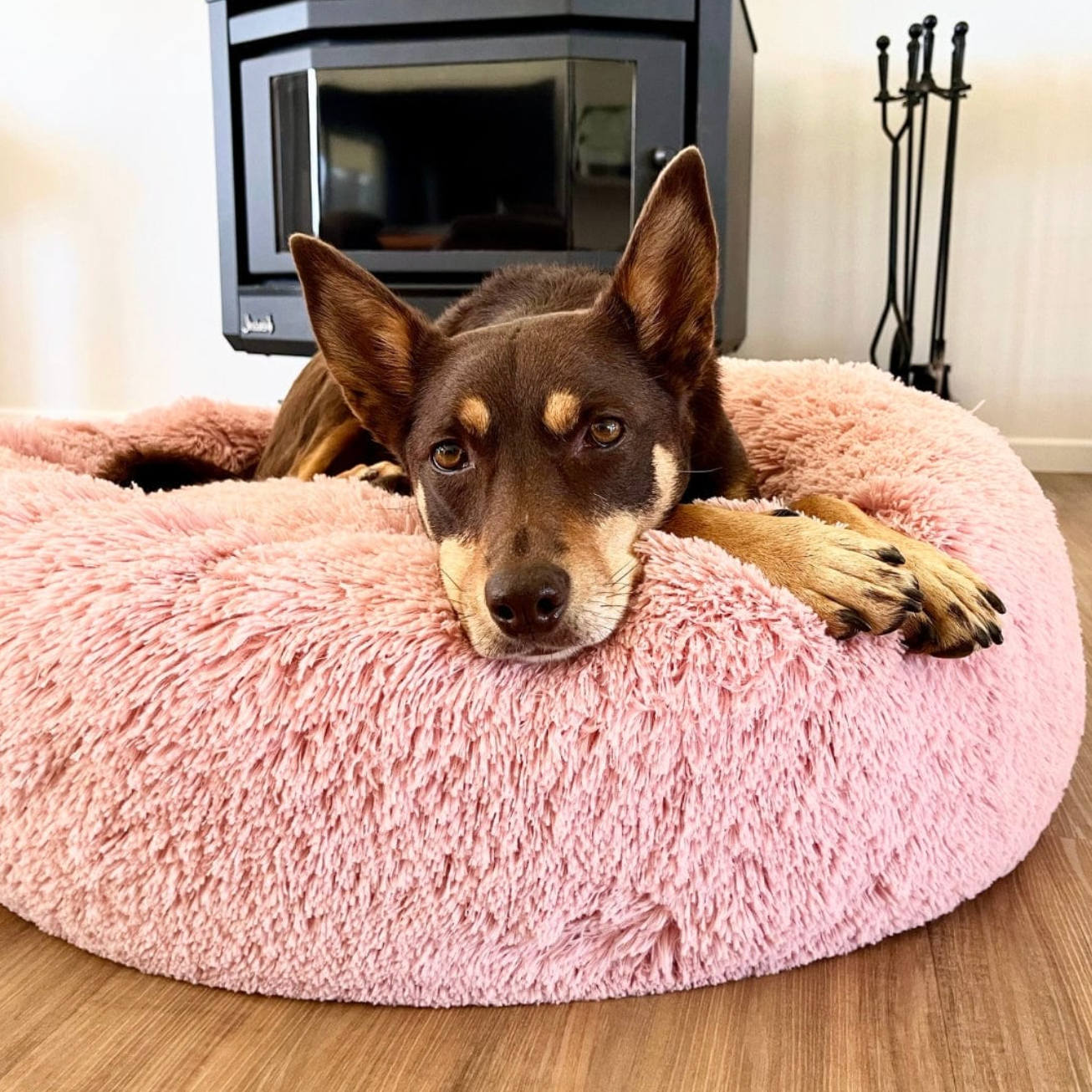 🐾 Cozy Paw Nest™ – The Ultimate Comfort Bed for Dogs & Cats