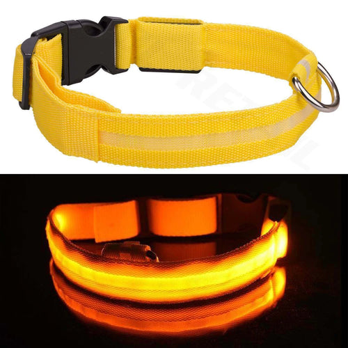 🐾 Cozy Paw LED Safety Collar